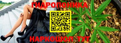 дживик Тулун
