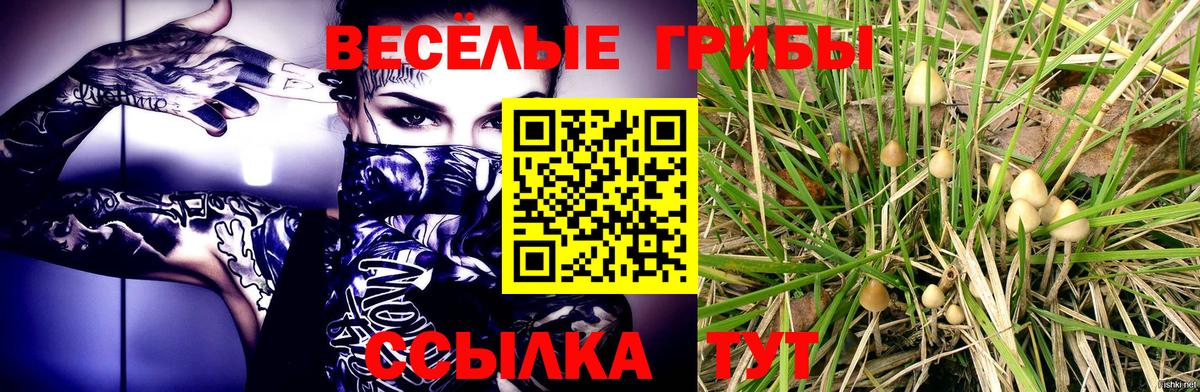 Амурск  Галлюциногенные грибы мухоморы  Галлюциногенные грибы ЛСД  сколько стоит  Вход с VPN 
