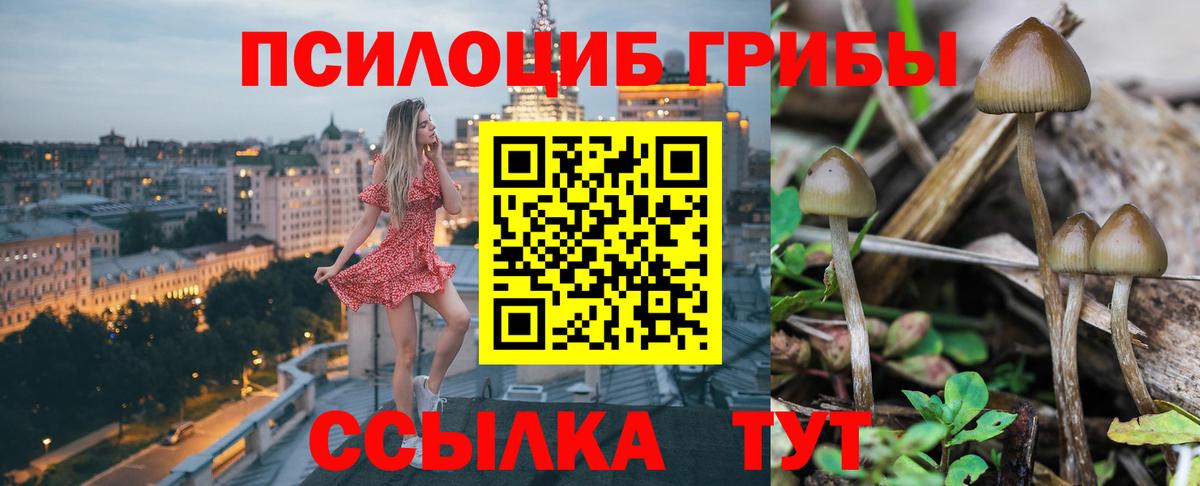 Галлюциногенные грибы мухоморы Амурск